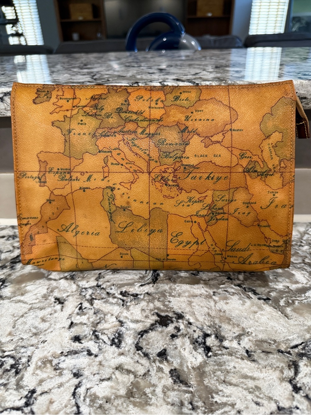 Alviero Martini Map-Print Pouch in Tan and Brown